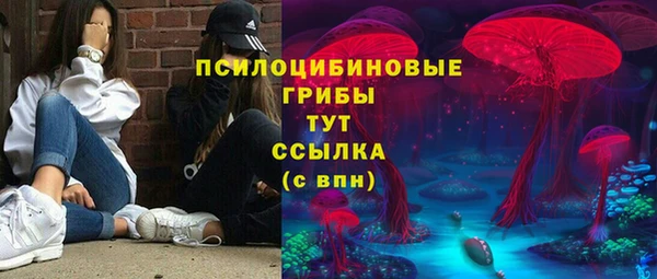 ECSTASY Баксан